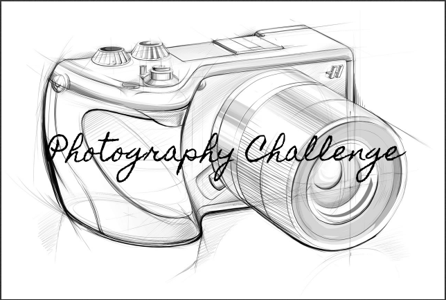 photography challenge